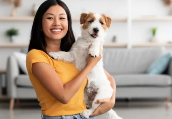 pet insurance for dogs with pre existing conditions
