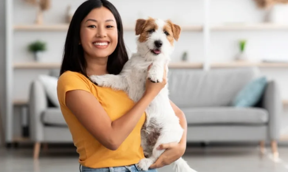 pet insurance for dogs with pre existing conditions